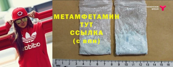 прущие грибы Иннополис