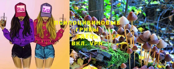 герыч Зеленодольск