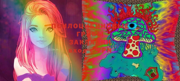 MDMA Инта