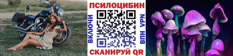 Галлюциногенные грибы мухоморы  Купить где  Таштагол 